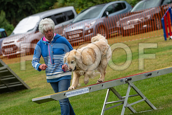 2086_SpringersFunDay2019_craigshawphoto