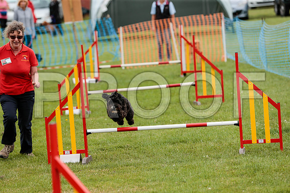 2646_SpringersFunDay2019_craigshawphoto