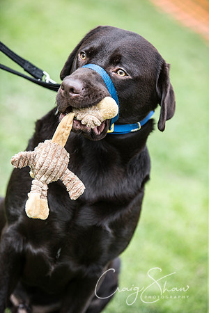1148_BarkintheParkHuddersfield_2014_bluplanetphoto