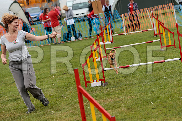 2636_SpringersFunDay2019_craigshawphoto
