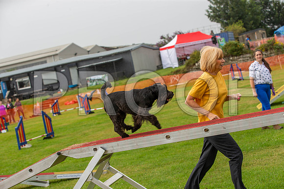 0425_SpringersFunDay2019_craigshawphoto