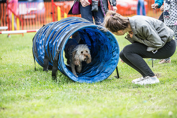 336_BarkintheParkHuddersfield_2014_bluplanetphoto