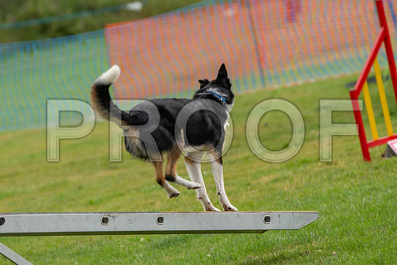 0510_SpringersFunDay2019_craigshawphoto