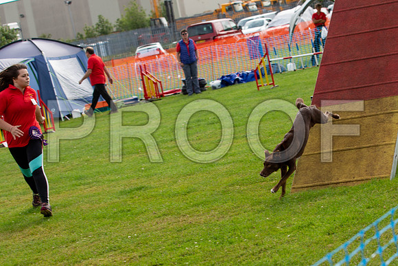 0817_SpringersFunDay2019_craigshawphoto