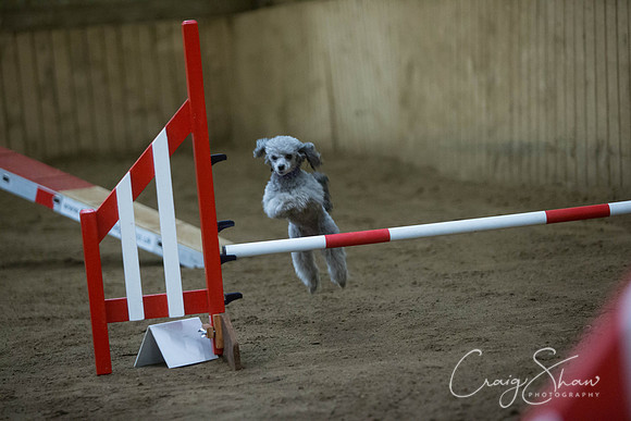 922_springfling2015_bluplanetphoto