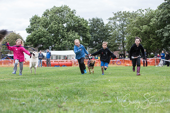 1862_BarkintheParkHuddersfield_2014_bluplanetphoto