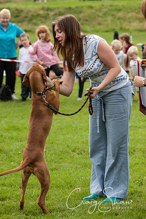 RSPCA Dog Day Afternoon