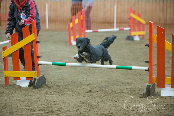 2829_springfling2015_bluplanetphoto