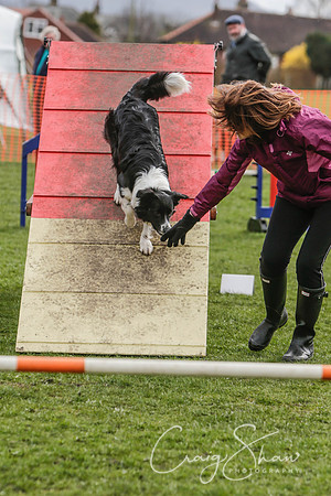 237__SpringersFunDay_March2014_bluplanetphoto