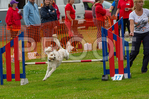 1027_SpringersFunDay2019_craigshawphoto
