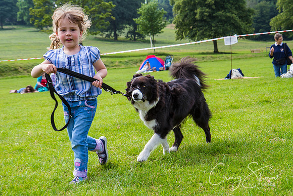 RSPCA Dog Day Afternoon