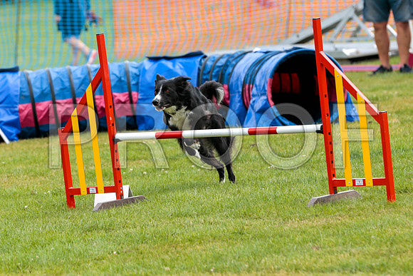 2587_SpringersFunDay2019_craigshawphoto