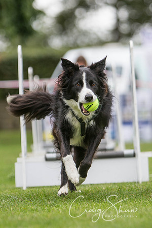 1211_BarkintheParkHuddersfield_2014_bluplanetphoto