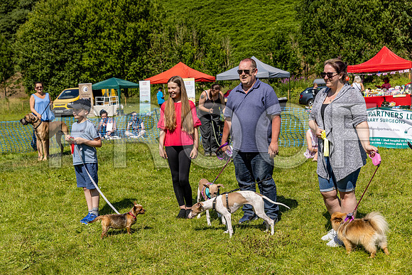2505__PAWSFundogShow_July2022_cshaw