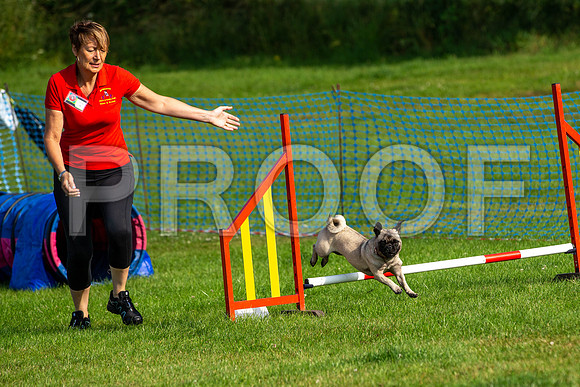 0101_SpringersFunDay2019_craigshawphoto