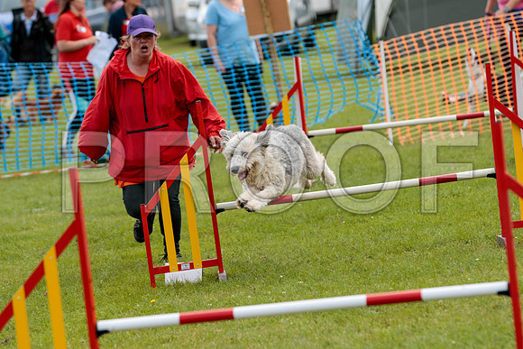 2520_SpringersFunDay2019_craigshawphoto