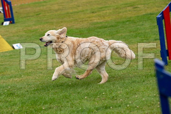 2084_SpringersFunDay2019_craigshawphoto