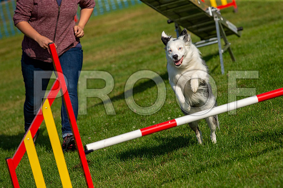 0149_SpringersFunDay2019_craigshawphoto