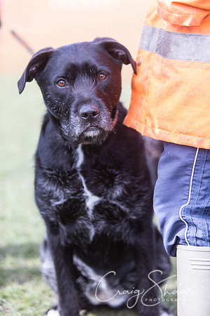 1130__SpringersFunDay_March2014_bluplanetphoto