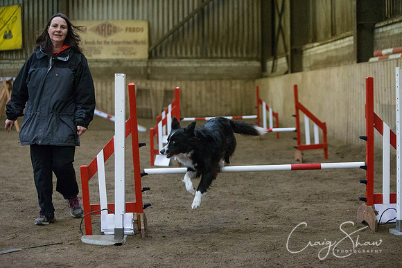 2596_springfling2015_bluplanetphoto