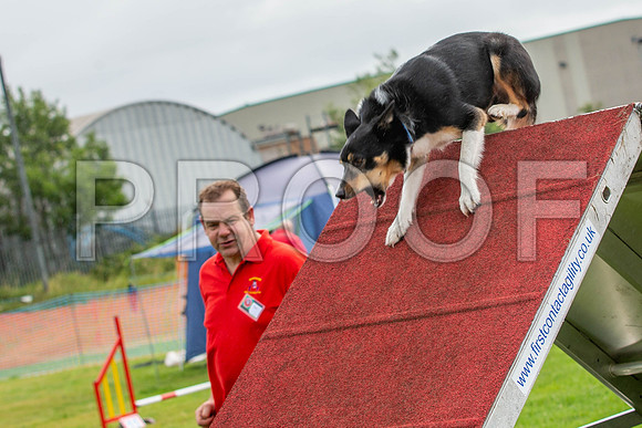 0497_SpringersFunDay2019_craigshawphoto