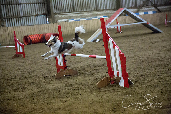 572_springfling2015_bluplanetphoto