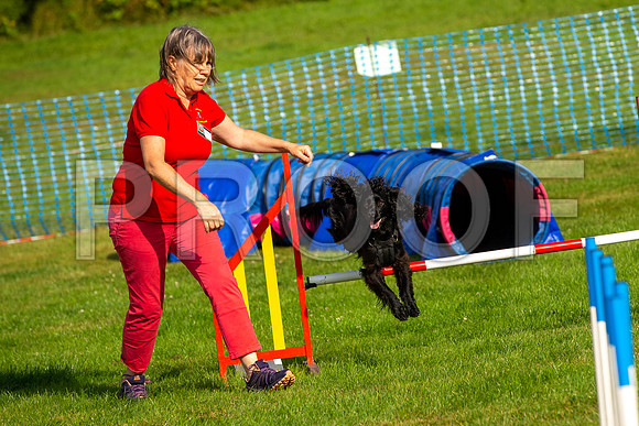 0200_SpringersFunDay2019_craigshawphoto
