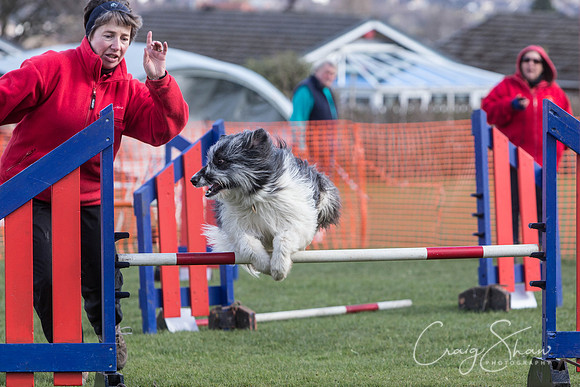 945__SpringersFunDay_March2014_bluplanetphoto