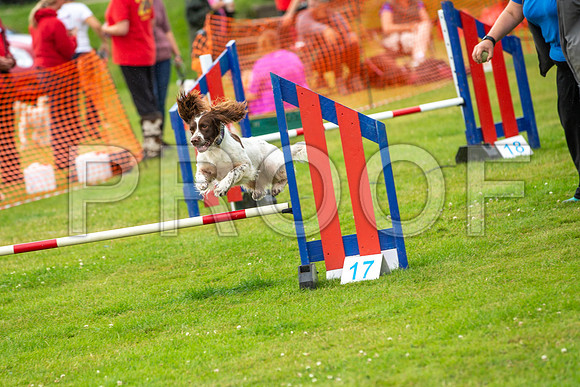 1071_SpringersFunDay2019_craigshawphoto