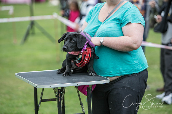 387_BarkintheParkHuddersfield_2014_bluplanetphoto