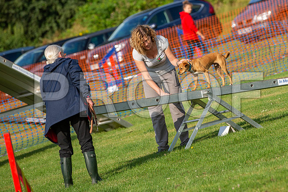 0118_SpringersFunDay2019_craigshawphoto