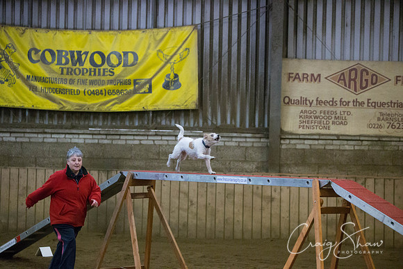 474_springfling2015_bluplanetphoto