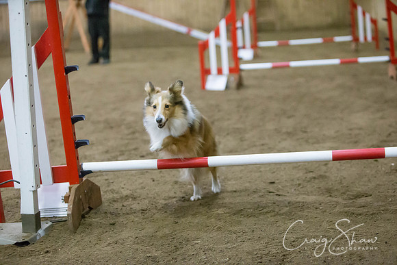 2761_springfling2015_bluplanetphoto
