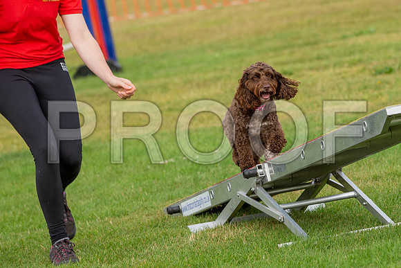0582_SpringersFunDay2019_craigshawphoto