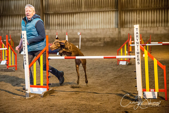 1053_springfling2015_bluplanetphoto