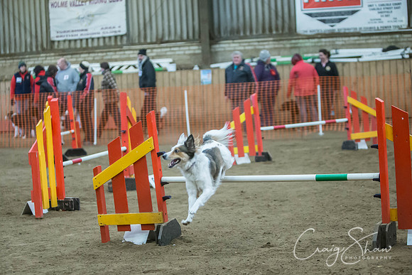 2658_springfling2015_bluplanetphoto