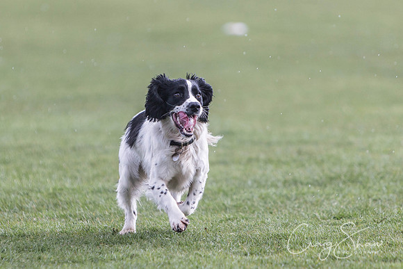 1374__SpringersFunDay_March2014_bluplanetphoto