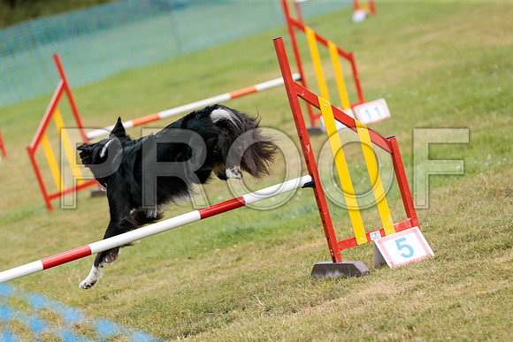 2581_SpringersFunDay2019_craigshawphoto