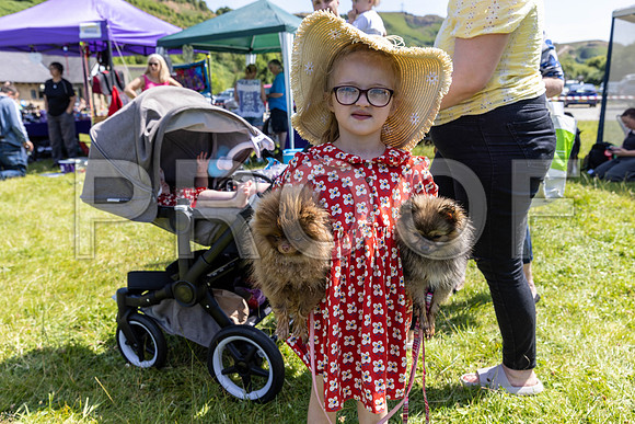 2088__PAWSFundogShow_July2022_cshaw