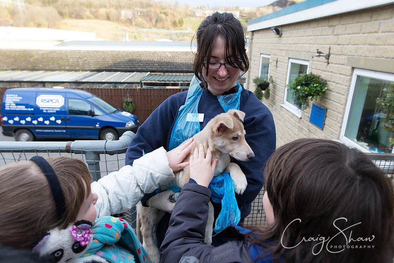 681_RSPCA_Christmas_Dec2013_bluplanetphoto