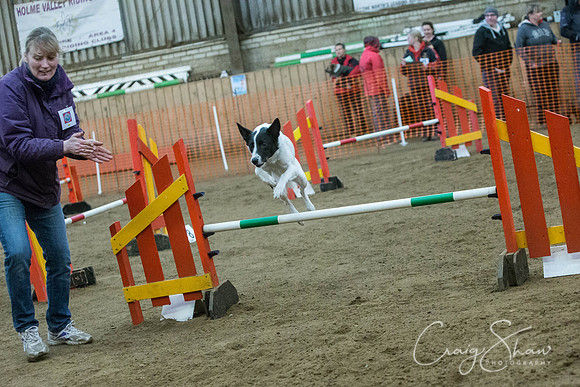 2493_springfling2015_bluplanetphoto