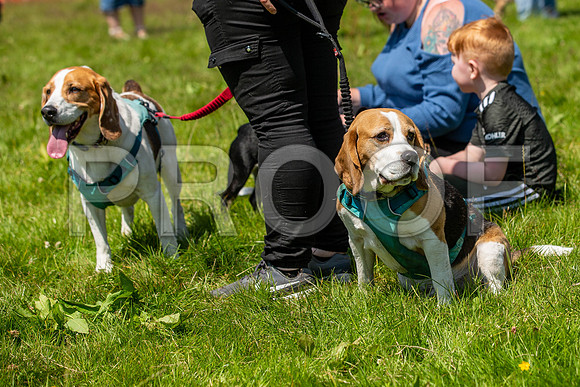 1994__PAWSFundogShow_July2022_cshaw