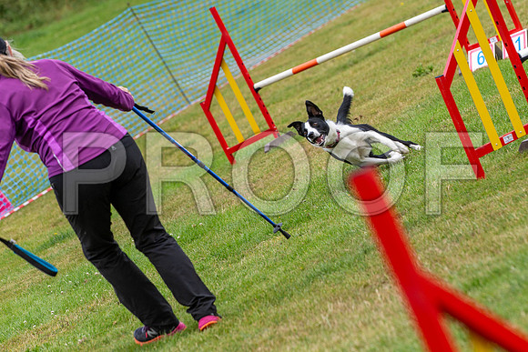 2460_SpringersFunDay2019_craigshawphoto