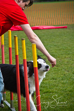 Hebden Happy Hounds RSPCA day