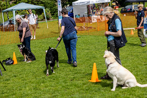 2479_HebdensHappyHounds2024_Cshaw-