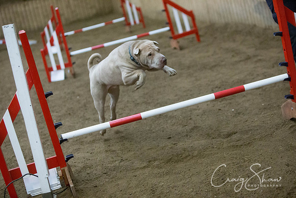 2842_springfling2015_bluplanetphoto