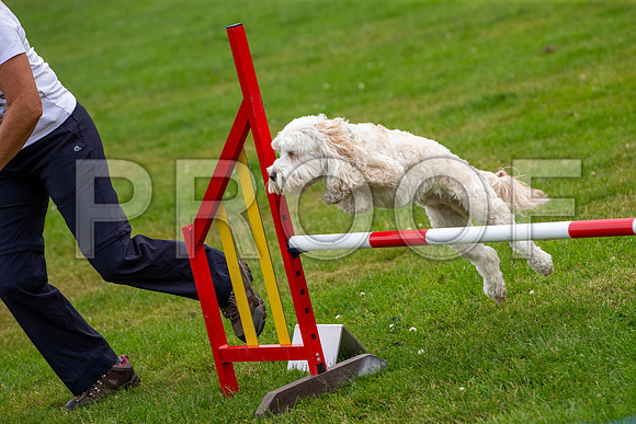 2514_SpringersFunDay2019_craigshawphoto