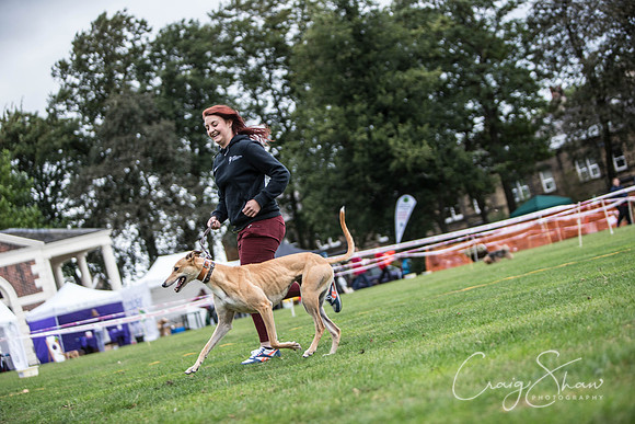 2139_BarkintheParkHuddersfield_2014_bluplanetphoto