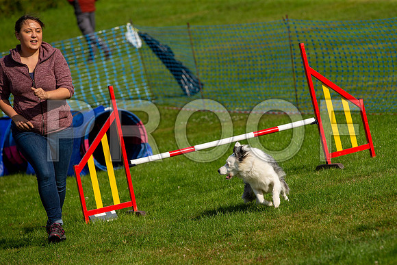 0158_SpringersFunDay2019_craigshawphoto