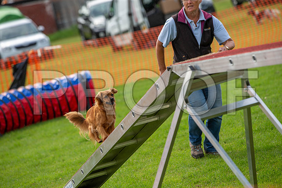 0841_SpringersFunDay2019_craigshawphoto